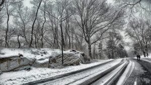 zaśnieżona jezdnia w lesie